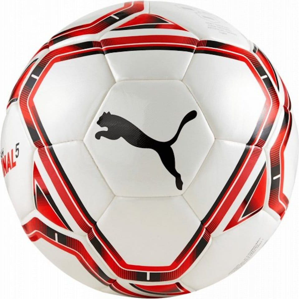 Puma teamFINAL 21.5. Hybrid Ball