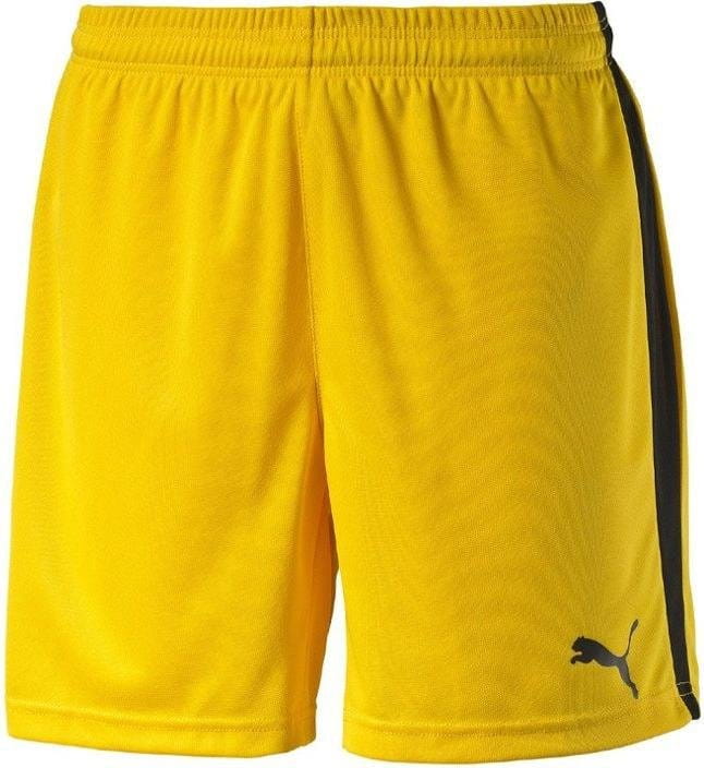 Puma Pitch Shorts WithInnerbrief