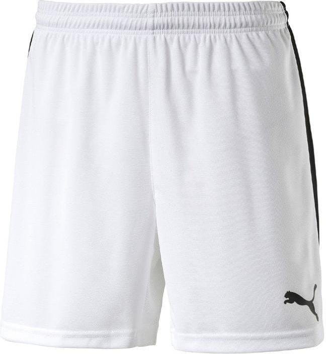 Puma Pitch Shorts WithInnerbrief Kids